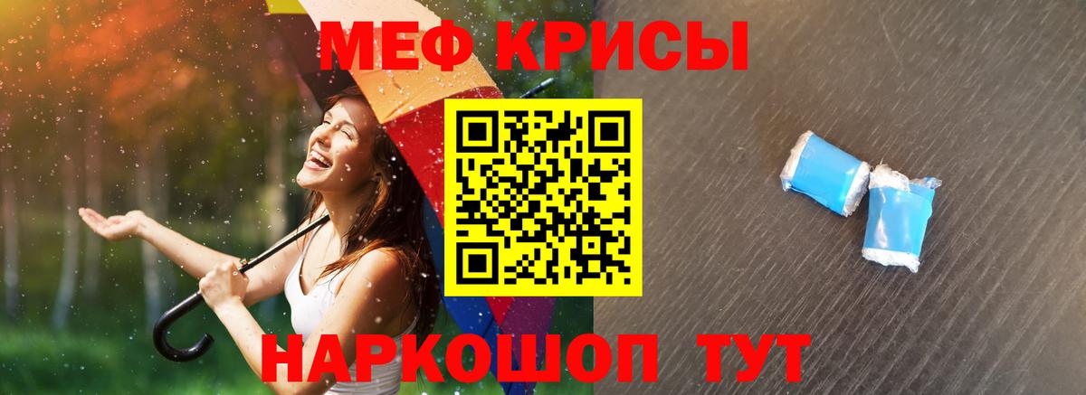 Чайковский  МЯУ-МЯУ мяу мяу  Вход с VPN 