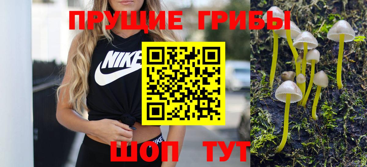 Галлюциногенные грибы ЛСД  Псилоцибиновые грибы прущие грибы  Вход с VPN  Чайковский 